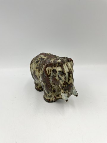 main
