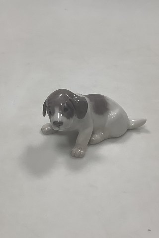 Royal Copenhagen Puppy Figurine No. 1311