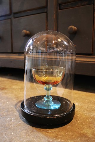 Decorative, old cylinder-shaped French glass Dome / Globe on a black wooden base 
for exhibition. H:24,5