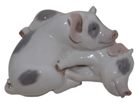 Royal Copenhagen figurine
Two pigs