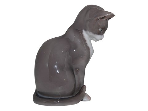 Bing & Grondahl figurine
Grey cat