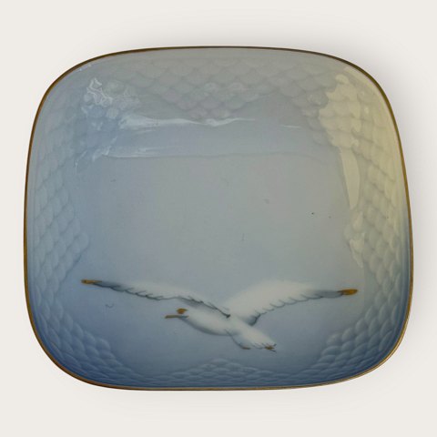 main
