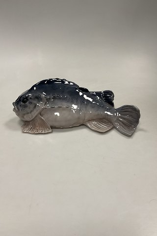main