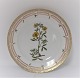 Royal Copenhagen Flora Danica. Lunch plate. Design # 3550. Diameter 22 cm. (1 
quality). Medicago falcata L