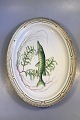 Danam Antik presents: Royal Copenhagen Flora Danica Oval Fish Tray No 3520