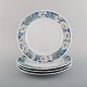 Four Royal Copenhagen White Rose dinner plates with blue border, white flowers 
and foliage. Dated 1992-1999.
