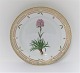 Royal Copenhagen Flora Danica. Mittagessen Platte. Entwurf # 3550. Durchmesser 
22 cm. (1 Wahl). Viscaria alpina