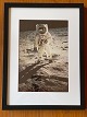 Original NASA color offset photography / photo 
print from Edwin "Buzz" Aldrin during the Apollo 
11 lunar mission in 1969