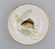 Royal Copenhagen porcelain dinner plate with hand-painted fish motif and golden 
border. Flora / Fauna Danica style. Dated 1960.
