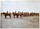 Photograph. Military exercise. ca. 1900. Denmark.