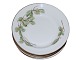 Beech LeavesExtra small soup plate 19.5 cm.