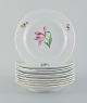 L'Art presents: Ten antique Meissen dinner plates.Hand painted with various polychrome flowers.