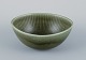 Gunnar Nylund for Rörstrand, "Ritzi" ceramic bowl in green glaze.