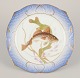 Royal Copenhagen Fauna Danica fish plate. Hand-painted fish motif with gold 
decoration.