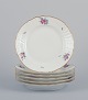 Royal Copenhagen Saxon Flower. Six lunch plates in porcelain. Hand-painted with 
polychrome flowers. Gold rim.