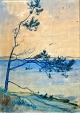 Pegasus – Kunst - Antik - Design presents: Vogel-Jørgensen, Eva (1901 - 1988) Denmark: A pine tree by the sea.