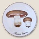 Bing & Grondahl
Mushroom plate
Cultivated mushroom
#3516/ 949
*150 DKK