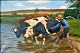 Pegasus – Kunst 
- Antik - 
Design 
presents: 
Steffensen, 
Poul (1866 - 
1923) Denmark: 
The cows are 
watered.