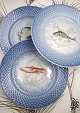 Bing & Grondahl 
Blue Tone fish 
plates in hotel 
porcelain ...