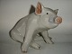 Royal Copenhagen Figurine, Sitting Pig.No. 414.