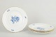 latest 
new item latest 
new item