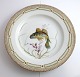 Lundin Antique 
presents: 
Royal 
Copenhagen. 
Fauna Danica. 
Fish Plate. 
Dinner plate. 
Model # 19 - 
3549. Diameter 
...
