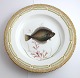 Royal 
Copenhagen. 
Fauna Danica. 
Fish Plate. 
Dinner ...