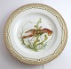Royal 
Copenhagen. 
Fauna Danica. 
Fish Plate. 
Dinner ...