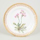 L'Art presents: Royal Copenhagen Flora Danica, side plate.