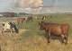 Moster Olga - Antik og Design presents: Knud EdsbergCows in fieldDKK 2400