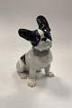 Danam Antik presents: German Heubach Porcelain Figurine of French Bulldog