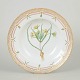L'Art presents: Royal Copenhagen Flora Danica dinner plate.