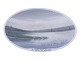 Antik K presents: Oval Royal Copenhagen commemorative plateVejle Fjord