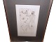 Hans Bellmer etchingErotic anatomy study from the 1960s