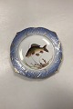 Royal Copenhagen Blue Fish Set Plate No. 19/3002