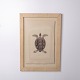Print depicting a turtle in a frame from the 1980s