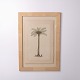Print depicting a palm tree in a frame from the 1980s