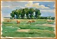 Pegasus – Kunst - Antik - Design presents: Svendsen, Albert (1889 - 1959) Denmark: Horses in a field, ...