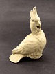 Royal Copenhagen cockatoo 55/65