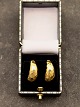 14 carat gold earrings