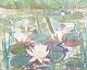 Sigrid Roos af Hjelmsäter-Wallert, water lilies, oil on ...