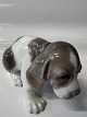 Lladro, Spanish figure: Dog Beagle.Measures 8.5 x 15 cm.