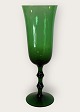 SaluteOrreforsChampagne glass*DKK 375