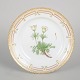 Royal Copenhagen, Flora Danica lunch plate.