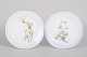 Royal Copenhagen, pair of Art Nouveau plates.