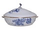 Blue Flower Curved with gold edgeSmall tureen