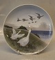 Royal Copenhagen Bird plate 1508-1125 Plate geese 25 cm