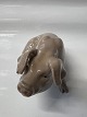 Antik Huset presents: Bing and Grondahl, Sitting Pig Figurine.No. 1582. Designedby Dahl Jensen.