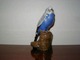 Aluminia Royal Copenhagen Figure of Budgie 