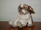 Dahl Jensen Pekinese puppy Figurine